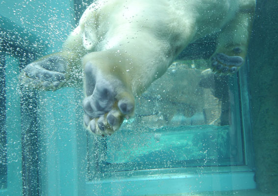 d0071596_20284962.jpg