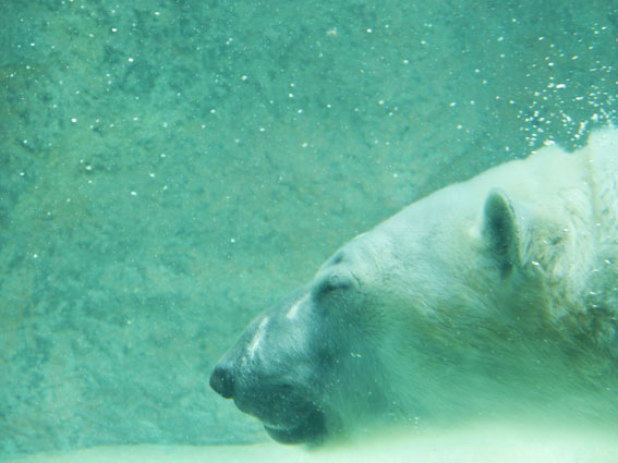 d0071596_2029262.jpg