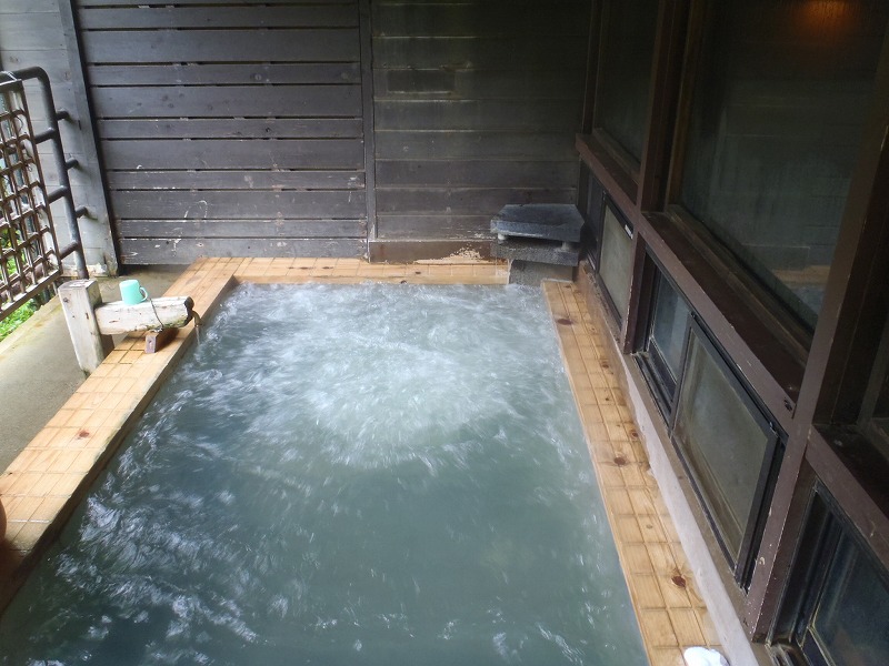 恒例の氷ノ山スズコ(根曲がり竹)採り20130528_c0147398_1475583.jpg
