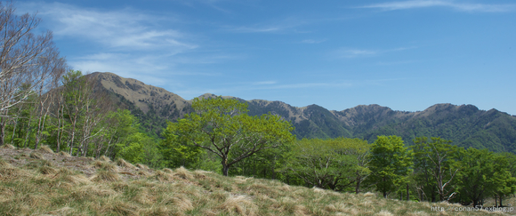 c0278800_4294542.jpg