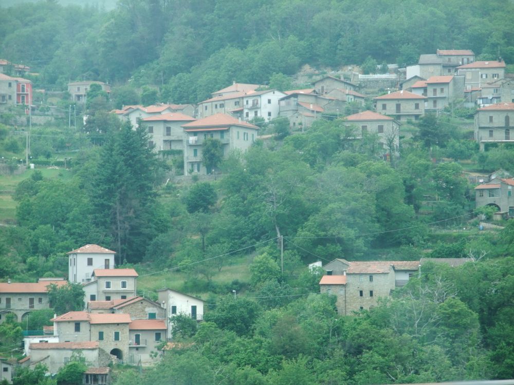 f0248903_543132.jpg
