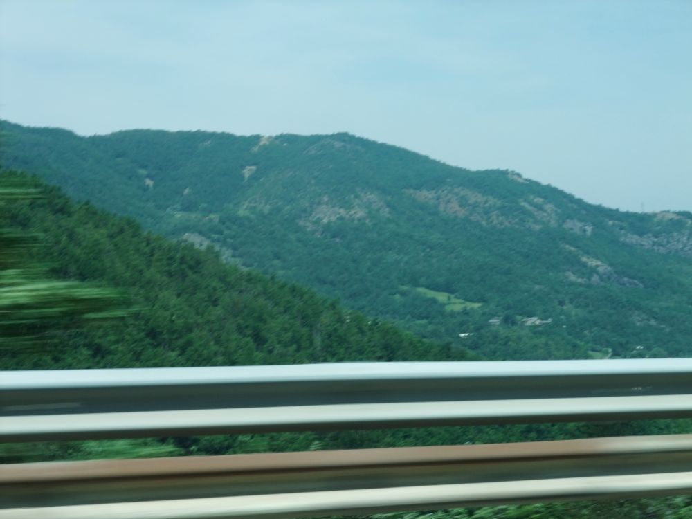 f0248903_5433.jpg
