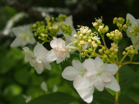 e0245404_23231773.jpg