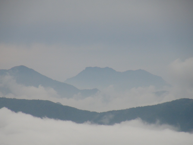 愛媛県の高山植物探訪道中記no5」　嶺南からの登山_f0231709_19305535.jpg