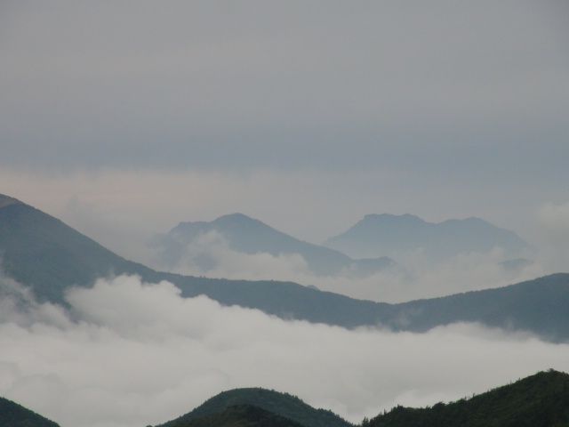 愛媛県の高山植物探訪道中記no5」　嶺南からの登山_f0231709_19311928.jpg