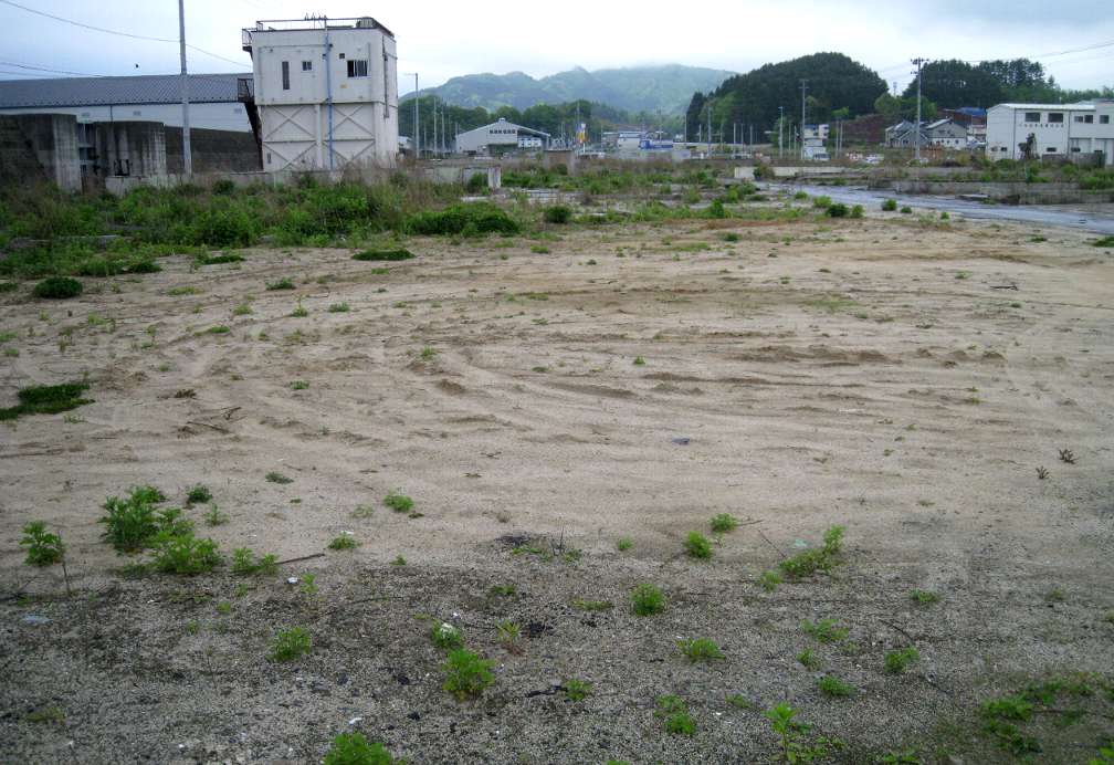 e0003910_9354190.jpg