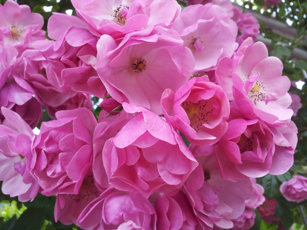 e0033713_10302314.jpg