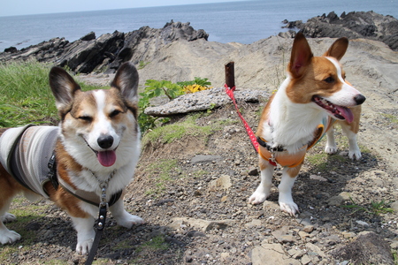 城ヶ島へ~♪_f0155118_801458.jpg