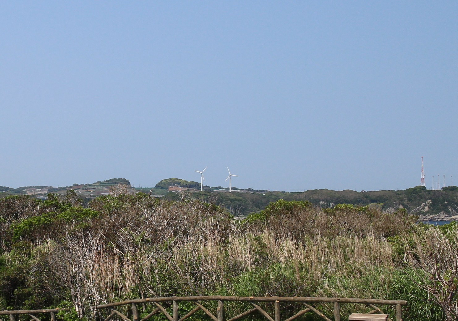 城ヶ島へ~♪_f0155118_854122.jpg
