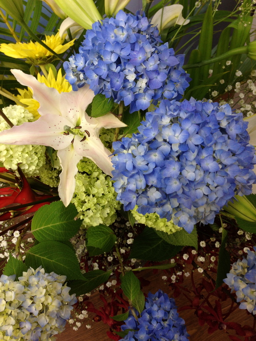 今週のお花とセール情報_a0200423_1491942.jpg