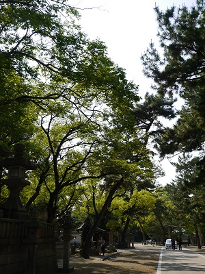 一番福目指して・・・ ~西宮神社(西宮)~_c0235725_616453.jpg