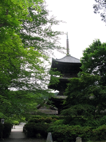 親睦旅行_f0129726_2258689.jpg