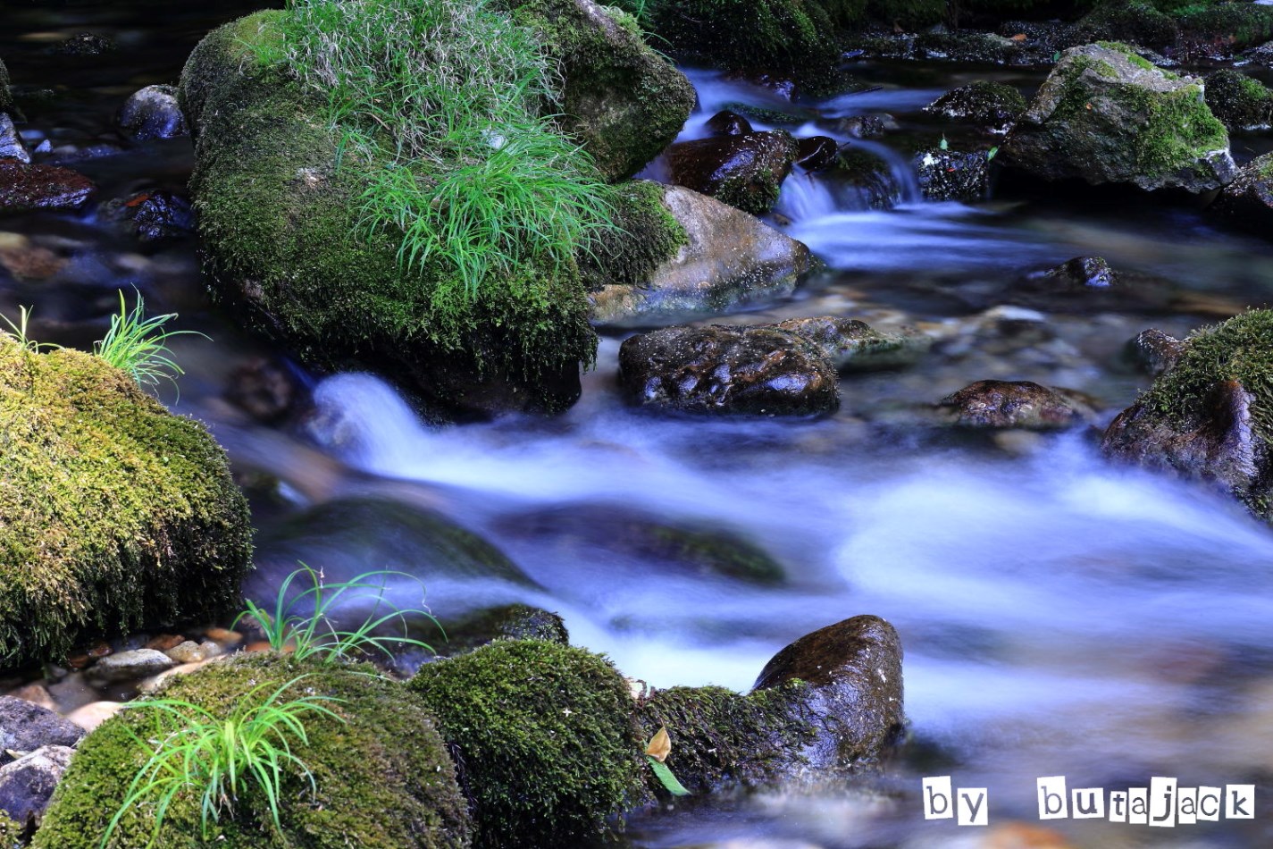 e0220828_20111031.jpg