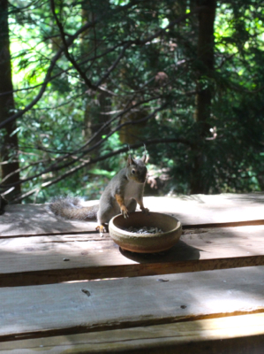 温泉の朝の楽しみ_a0148230_2111926.jpg