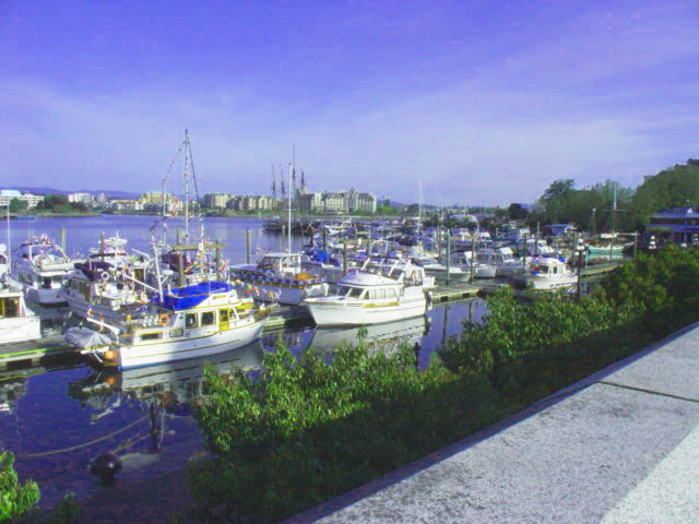 f0249630_22215749.jpg