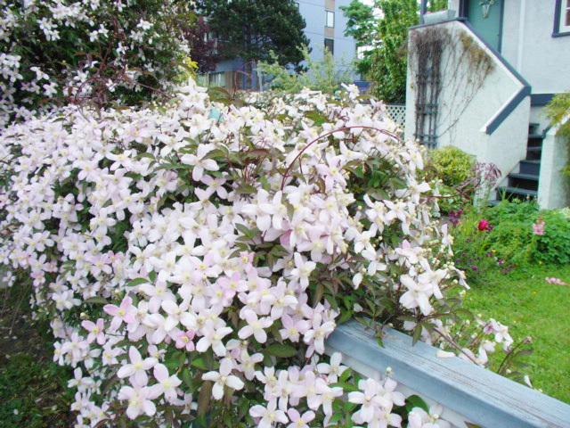 f0249630_2224297.jpg
