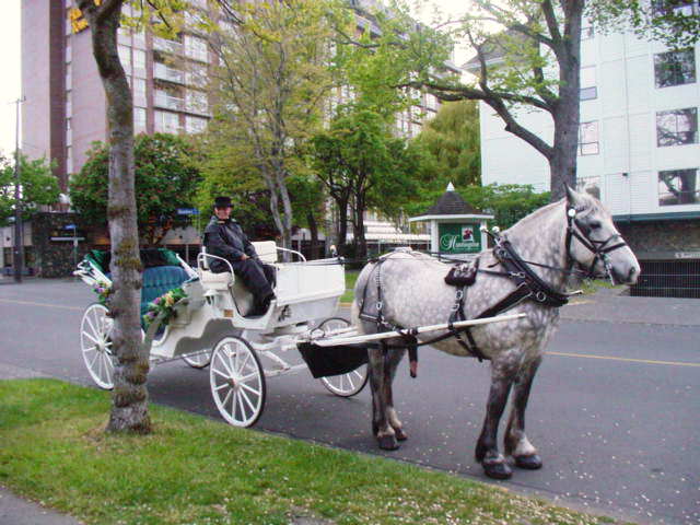 f0249630_22253080.jpg