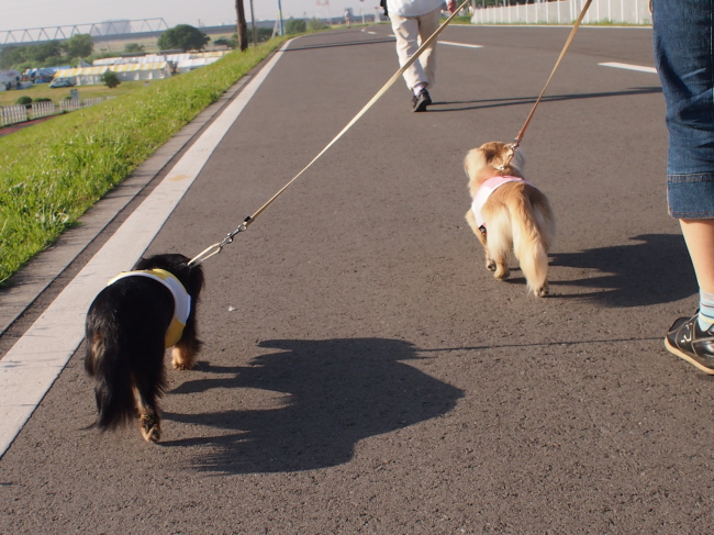 １３年６月１日　サッカー＆セミナー！_c0117831_2223760.jpg