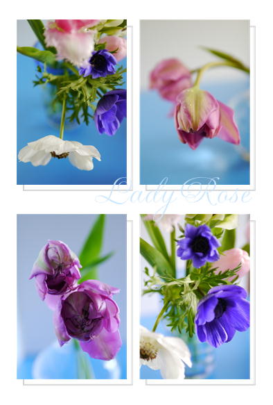 春の花達_f0292335_12263526.jpeg