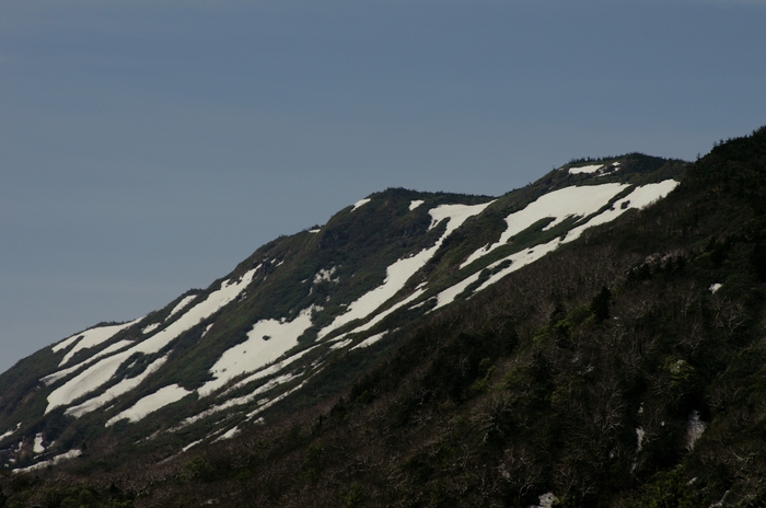 d0237340_19175411.jpg