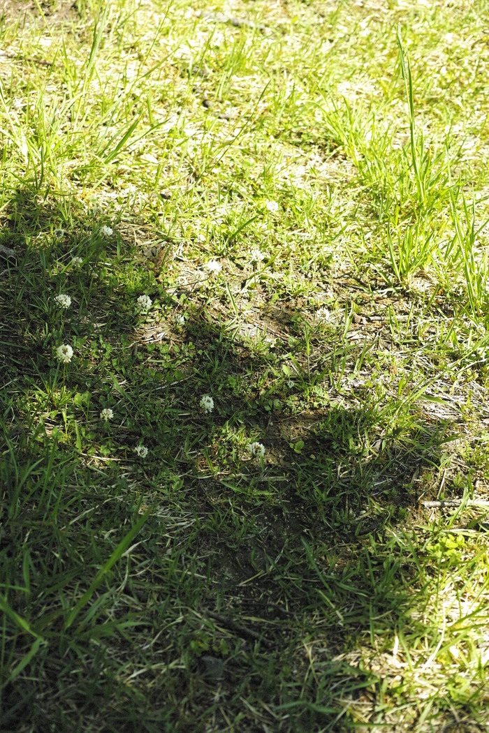 d0237340_20143368.jpg