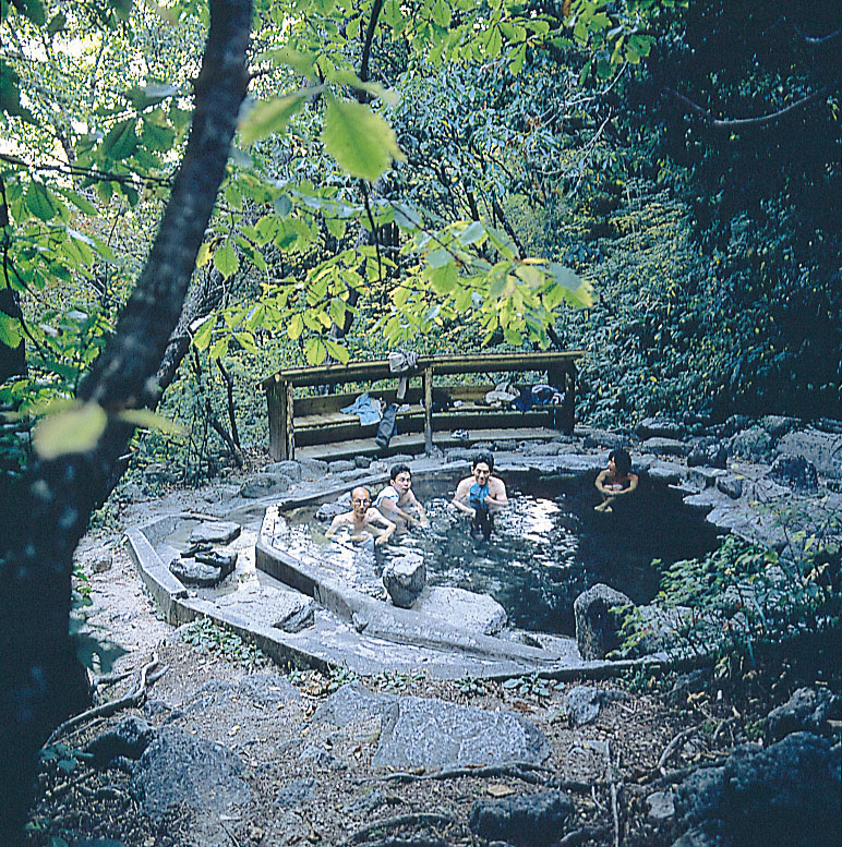 f0219043_20424198.jpg
