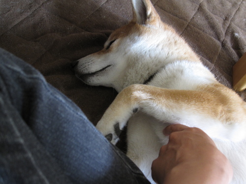 f0245650_9311085.jpg