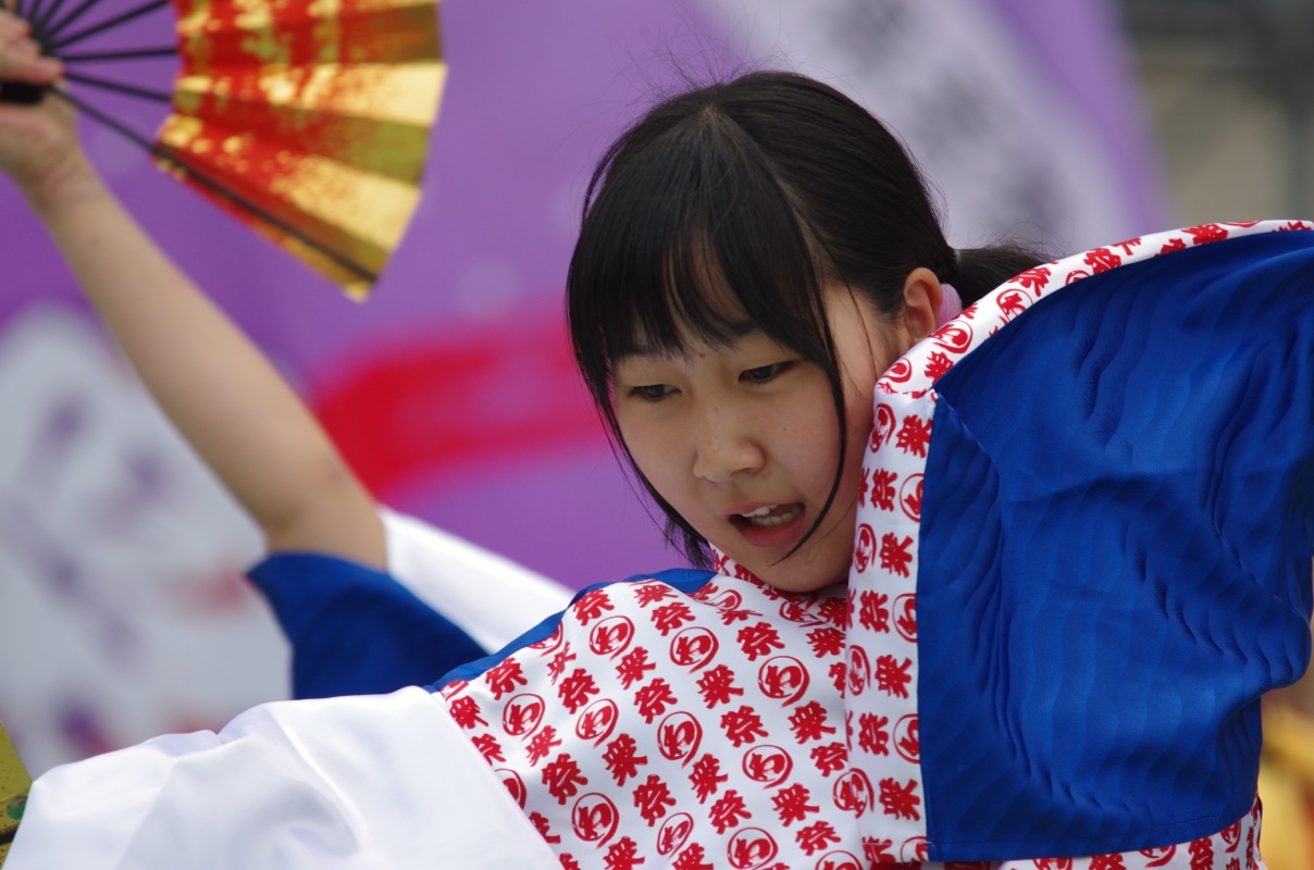 踊っこまつり２０１３　２日目その９（若狭踊り屋祭わ衆）_a0009554_11494724.jpg