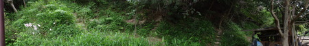 c0108460_2144338.jpg