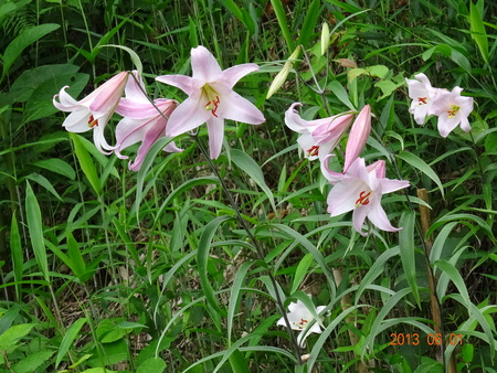 c0108460_2245982.jpg