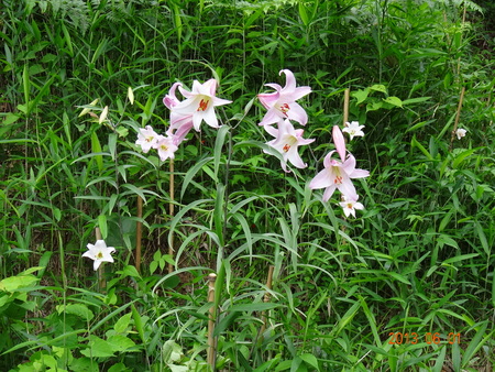 c0108460_2252611.jpg