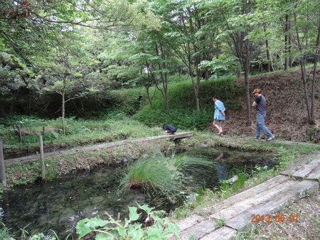 c0108460_2292599.jpg