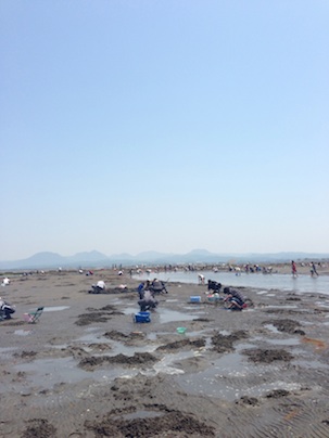 潮干狩りセラピー_d0069964_22244368.jpg