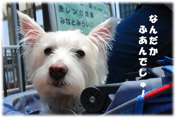 b0242873_924479.png