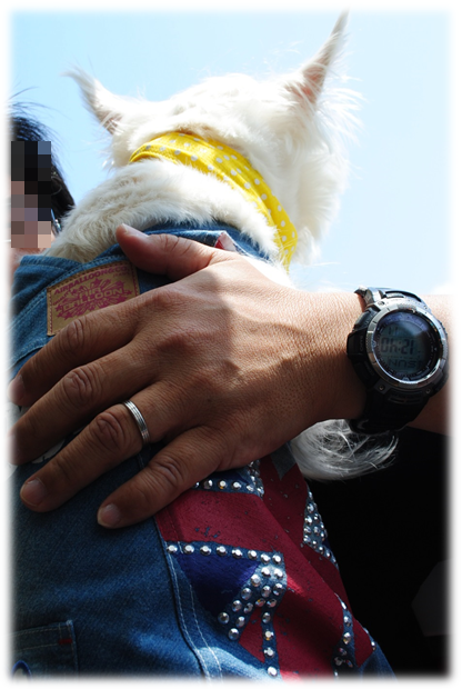 b0242873_9465514.png