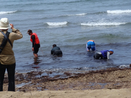 ドキュメント上越航海・・・ワレ上陸ニセイコウセリ　05251250　（後半）_f0225473_20183248.jpg