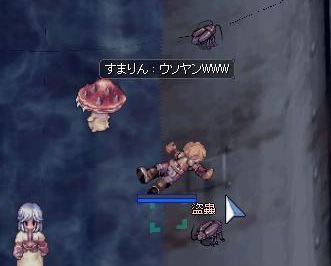 e0129784_3375363.png