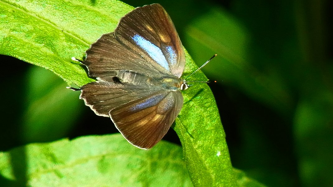 a0152692_183149.jpg