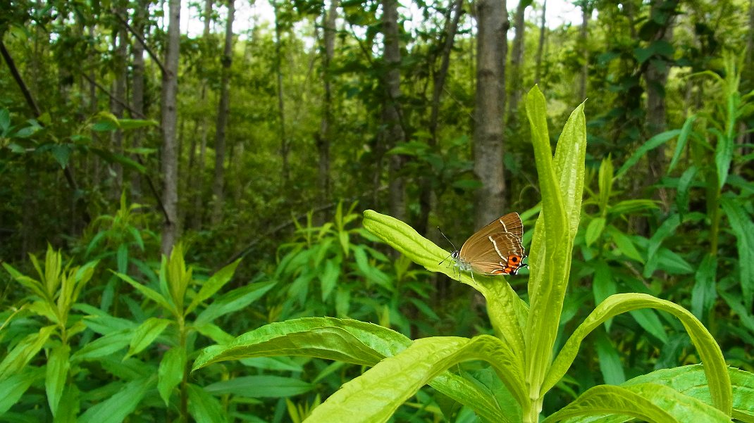 a0152692_201369.jpg