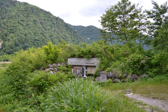 c0309492_2382245.jpg