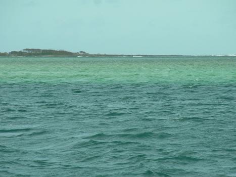 d0132693_1472420.jpg
