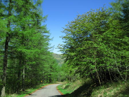 池の平湿原駐車場について_e0120896_13274087.jpg
