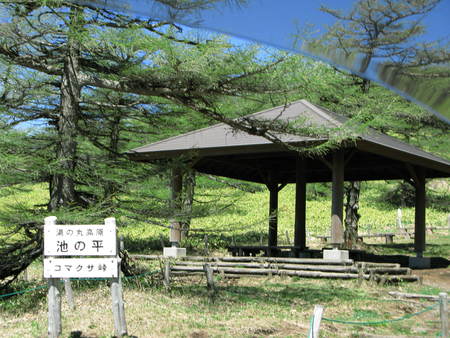 池の平湿原駐車場について_e0120896_13342358.jpg