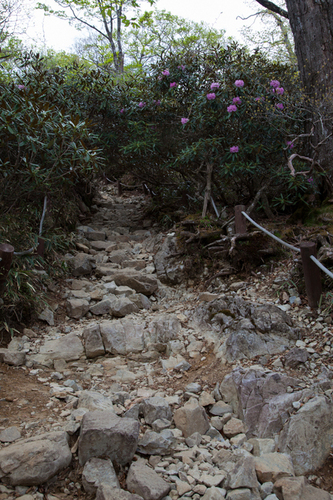 c0043403_2218334.jpg