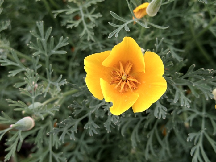 c0187503_21335461.jpg