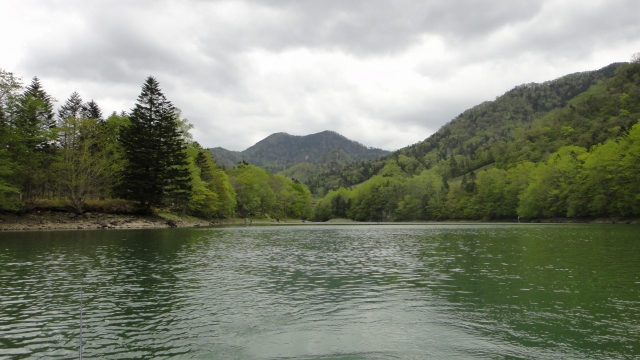 d0051707_17183730.jpg