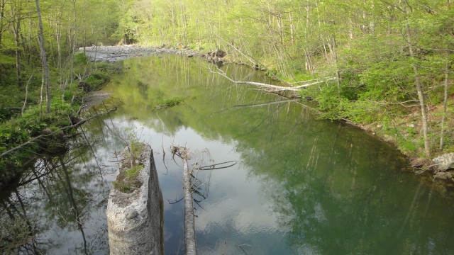 d0051707_1775689.jpg