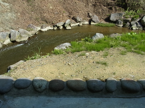 e0243008_592699.jpg