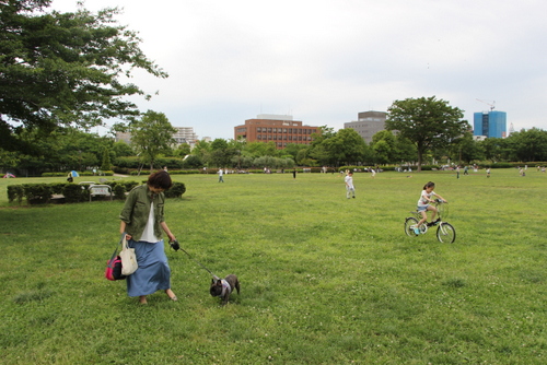 a0284809_1321573.jpg