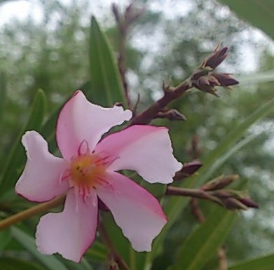 d0024220_23294070.jpg